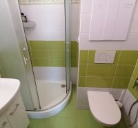 A bathroom with a shower and green tiles in a 2-room apartment.