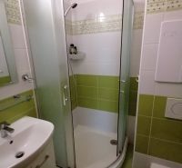 A bathroom with a shower and green tiles in a 2-room apartment.