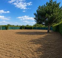 A fenced plot for living in Pravotice with a large tree and a clear blue sky.