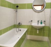 Bathroom in a 2-room apartment with emerald green tiles and a round mirror.