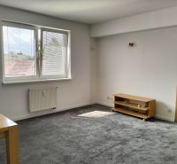 A bright living room with a carpet and furniture in a 2-room apartment.