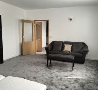 Living room in a two-room apartment with a dark carpet, sofa, and armchair.