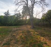 A vast plot of land near a family house in Čelovce, lined with trees, with fields in the distance.