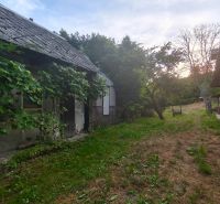 A house in Čelovce with climbing greenery and a garden.