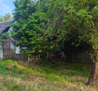 A family house in Čelovce, surrounded by greenery and trees, with an older shelter.