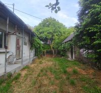 The garden at the family house in Čelovce with a country house and trees.