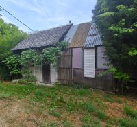 An older family house in Čelovce surrounded by greenery and trees.