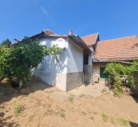A family house in Dolné Otrokovce with white plaster and tiles, green plants in the garden.