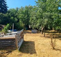 A garden at a family house in Dolné Otrokovce with dense tree growth.