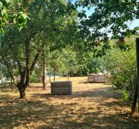A garden in Dolné Otrokovce with fruit trees near a family house.