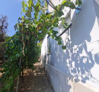 The exterior of a family house in Dolné Otrokovce with vines by the wall.
