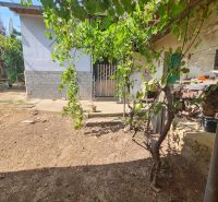 The garden of a family house in Dolné Otrokovce with a vineyard and a gate.