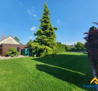 Garden with lawn and trees in Dolný Štál, a space suitable for residential plots.