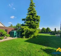 Garden with a lawn and a tree in Dolný Štál suitable for residential plots.