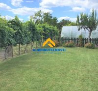 A garden at a family house in Veľký Meder with a lawn and vine.