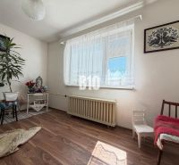 Interior of a family house with a wooden decor floor, decorations, and flowers.