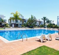 A family house in Yeni Boğaziçi with a garden and a swimming pool, surrounded by palm trees.