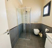 A bathroom in a family house with a shower, dark tiles, and light wall tiles.