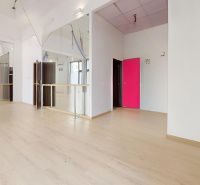 Interior of commercial spaces with wood-patterned flooring and mirrors on the walls.