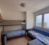 A room with a bunk bed, a sofa bed, and a shelving unit in a family house.