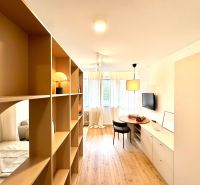 Interior of a 1-room apartment with a shelving partition and a floor with a wooden decor.