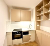 Kitchen unit in a studio apartment with a wooden decor floor, light cabinets.