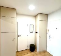 Entrance hall with wood-patterned flooring and white cabinets in a studio apartment.