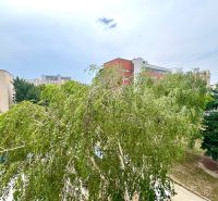 A view of green trees in Bratislava - Dúbravka, Sekurisova, surrounded by residential buildings.
