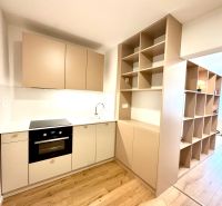 A kitchen unit with a cooktop and shelves in a studio apartment with a wood-patterned floor.