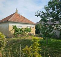 A family house on Dvorčanská Street in Dolné Krškany with a grassy garden and vineyard.