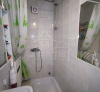 Bathroom with a bathtub and shower, Family house, curtain with leaf pattern.