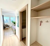 A hallway in a one-room apartment with a wooden decor floor and a built-in coat rack.