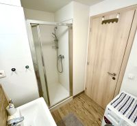 Bathroom with a sink, shower, washing machine, and floor with wooden decor in a studio apartment.