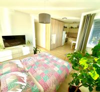 A bright space of a one-room apartment with a wooden decor floor and plants.