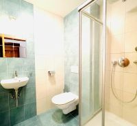 Bathroom with toilet, shower, and sink in a 4-room apartment.