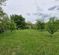 A garden with young trees at a family house in Mokry Haj, with more trees behind the fence.