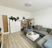 Living room of a 3-room apartment with a sofa, table, plants, and a wooden decor floor.