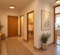 A hallway in a 2-room apartment with wooden furniture and decorative plants.