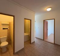A hallway in a 2-room apartment with tiles and wooden decor flooring in the room.