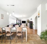 A dining room with wooden floor decor and plants in a family house.