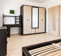 Interior of a 2-room apartment with furniture and flooring featuring a wood design.
