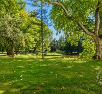 Park scenery with a path, lake, and trees on Vincent Šikula in Stupava.