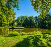 A park with a pond in Stupava on Vincent Šikula Street, surrounded by greenery and trees.