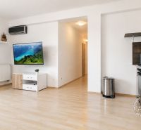 Living room in a 2-room apartment with a wooden decor floor, a television, and a kitchenette.