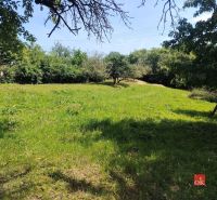 A grassy plot in the village of Žehňa surrounded by trees, ideal for living.
