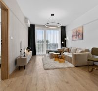 Living room with a sofa, dining area, and wood-patterned flooring in a two-room apartment.