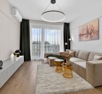 Living room in a two-room apartment with a sofa, carpet, and wooden decor flooring.