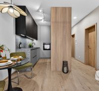 Kitchen and dining area in a 2-room apartment with a wooden decor floor.