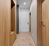 A hallway in a 2-room apartment with a wooden decor floor and wooden doors.