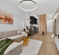 Living space in a two-room apartment with wood-patterned flooring and stylish furniture.